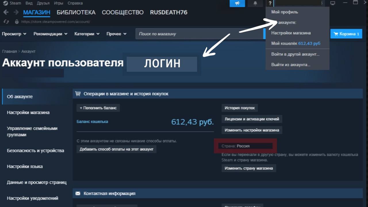 Пример, где посмотреть логин Steam
